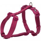 Premium H-Geschirr. M-L: 52-75 cm/20 mm, orchidee