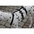 Feltmann Kreuzgeschirr NoExit, 40 - 60 cm, uni schwarz