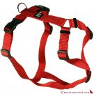 Feltmann Kreuzgeschirr 20mm/50-65cm ROT