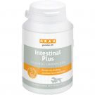 Grau Intestinal Plus Tabletten 120 Stück (135g)