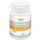 Grau Intestinal Plus Tabletten 60 Stück (70g)