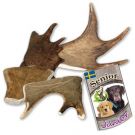 Larsson Snack Elk-Schäufle XS (I)