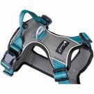 Petlando Magnetech Geschirr, XS, anthrazit/petrol