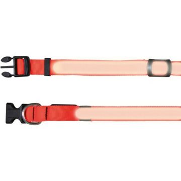 Flash Halsband, signalorange