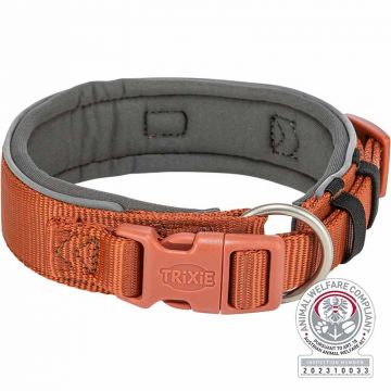 Premium Halsband, extra breit, rost/grafit