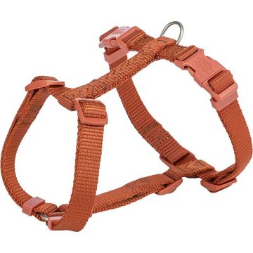 Premium H-Geschirr, rost