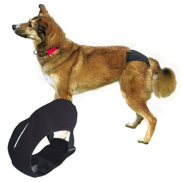 Schutzhöschen Deluxe, schwarz