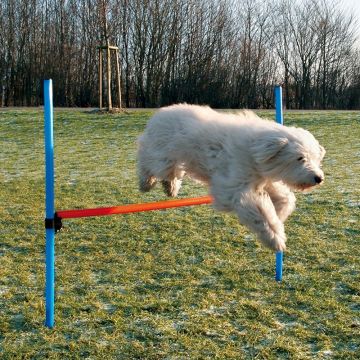 Dog Activity Agility Hürde, 123x115x3 cm, blau/orange