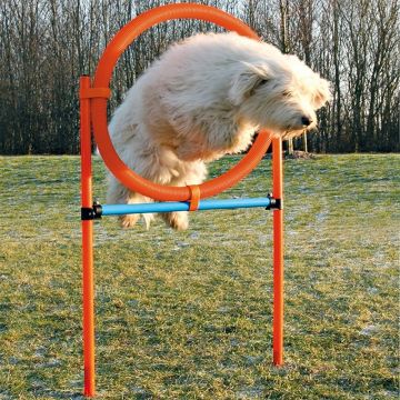Dog Activity Agility Ring, 115x3 cm, 78 cm, orange