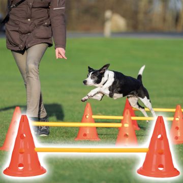 Dog Activity Hindernis Set, Kunststoff