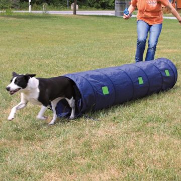 Dog Activity Agility Tunnel, 40 cm/2 m, blau