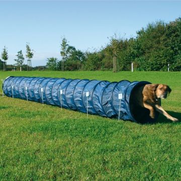 Dog Activity Agility Basic Tunnel, 60 cm/5 m, blau