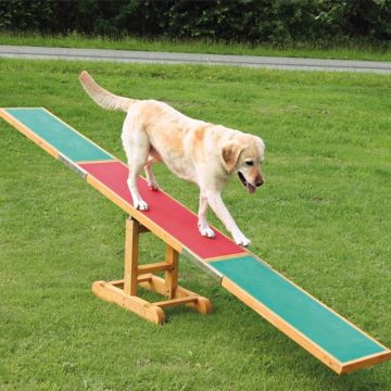 Dog Activity Agility Wippe, 300x54x34 cm, bis 80 kg