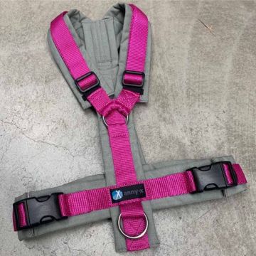 Anny-x Brustgeschirr Fun, grau/pink