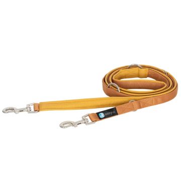 Anny-x Führleine Classic Bolt Fun, 3m, Goldglöckchen
