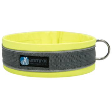 Anny-x Steckhalsband Protect, leuchtgelb/grau