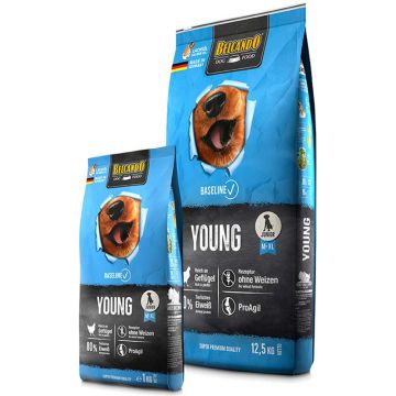 Belcando Baseline Young