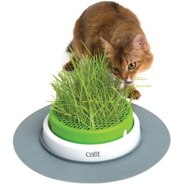 Catit Senses 2.0 Grass Planter (Grastopf)
