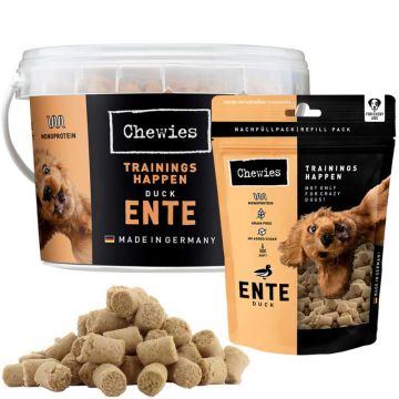 Chewies Trainings-Happen Ente