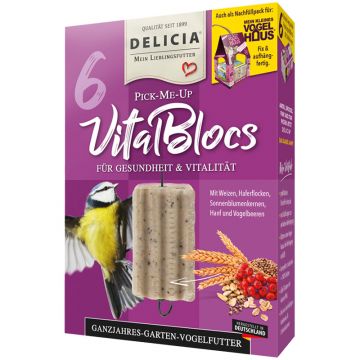 Delicia Pick-Me-Up VitaBloc