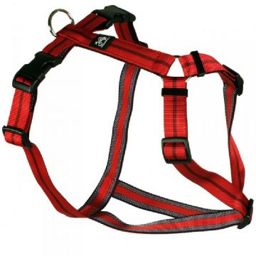 Feltmann Kreuzgeschirr 20mm/55-75cm, Streifen