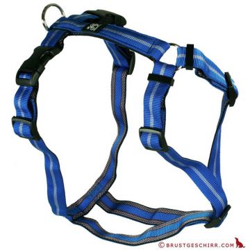 Feltmann Kreuzgeschirr 20mm/50-65cm, Streifen