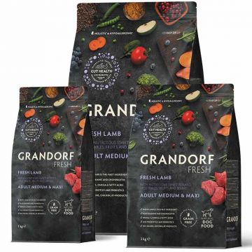Grandorf Fresh Adult Medium-Maxi Frisches Lamm