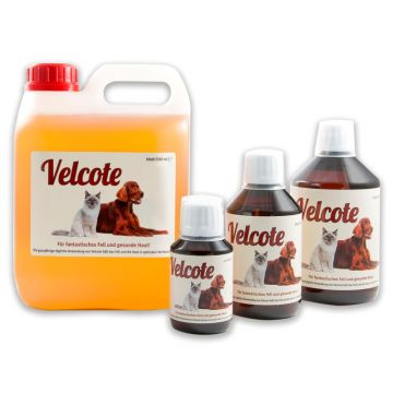 Grau Velcote