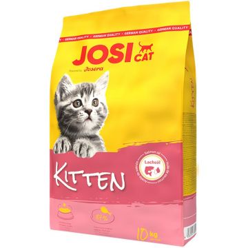 JosiCat Kitten