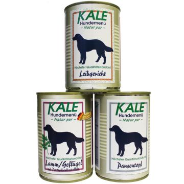 Kale Dosen Sparpaket 400g