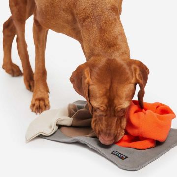 Knauders Best Sniffpad Elements Single 38x24cm