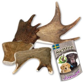 Larsson Snack Elk-Schäufle