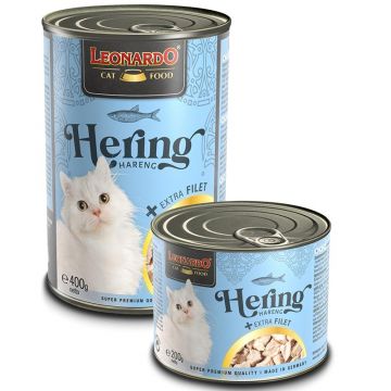 Leonardo Dose Hering + extra Filet