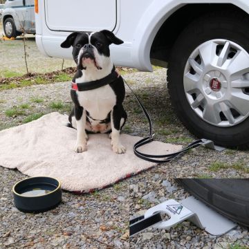 Linnepe Dog-Sitter 1 Stück