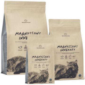 Magnussons Innekatt (Hauskatzen)