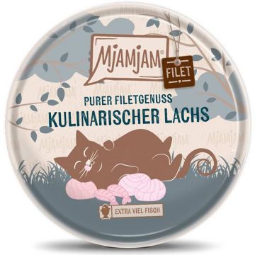 MjAMjAM - Purer Filetgenuss - kulinarischer Lachs 80g