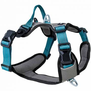 Petlando Magnetech Geschirr, anthrazit/petrol