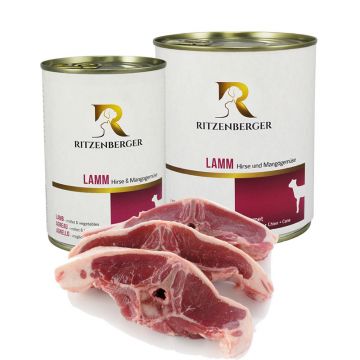 Ritzenberger Lamm, Hirse u. Mangogemüse