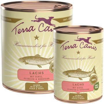 Terra Canis Lachs Menü