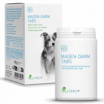 Valetumed Magen-Darm Tabs 180g