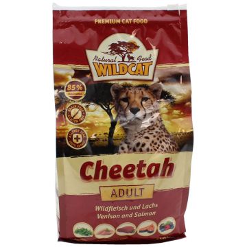 Wildcat Cheetah