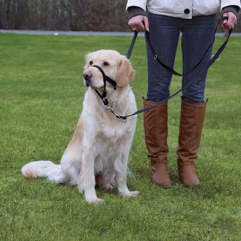 Top Trainer Ausbildungsgeschirr S: 22 cm