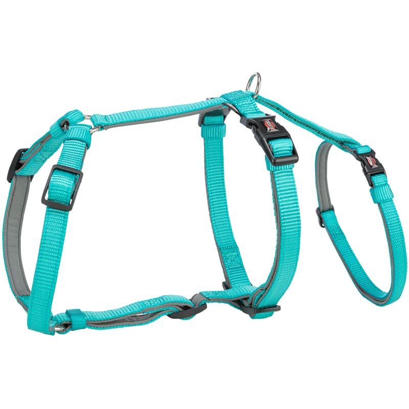 Panikgeschirr Stay, M-L:50-75 cm/20 mm, türkis
