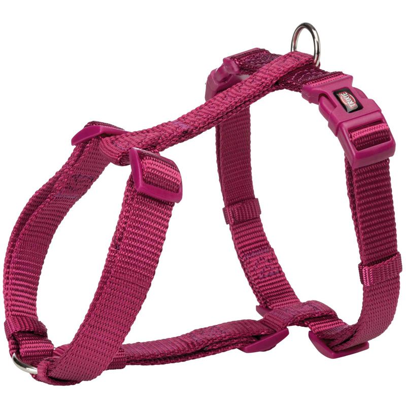 Premium H-Geschirr. M-L: 52-75 cm/20 mm, orchidee