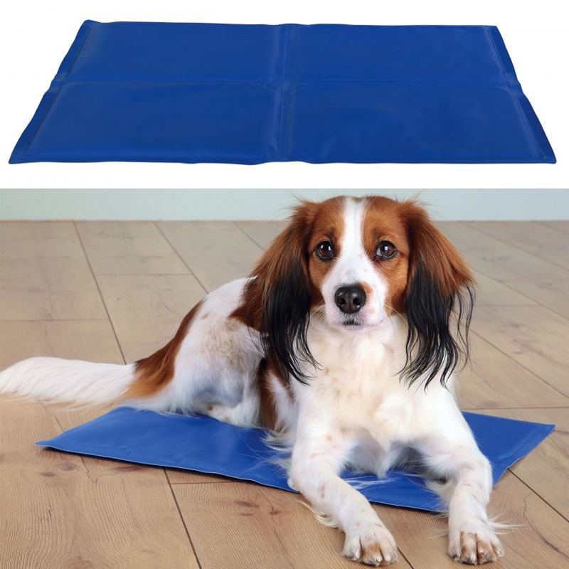Kühlmatte, 90 x 50cm, blau
