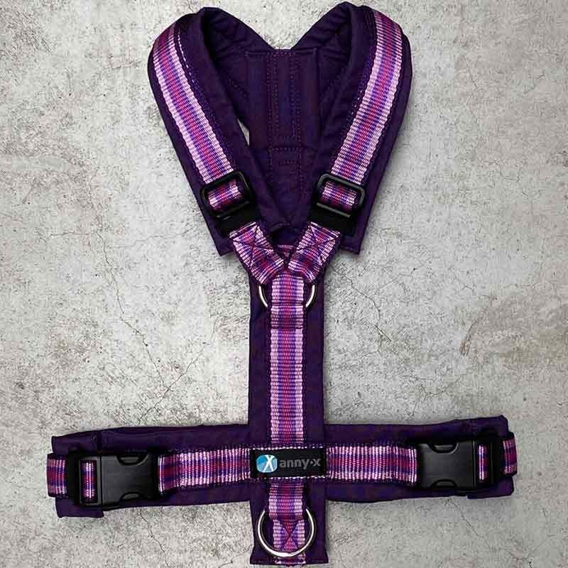 Anny-x Brustgeschirr Fun, Gr.XXS, Limited Edition, wildflied