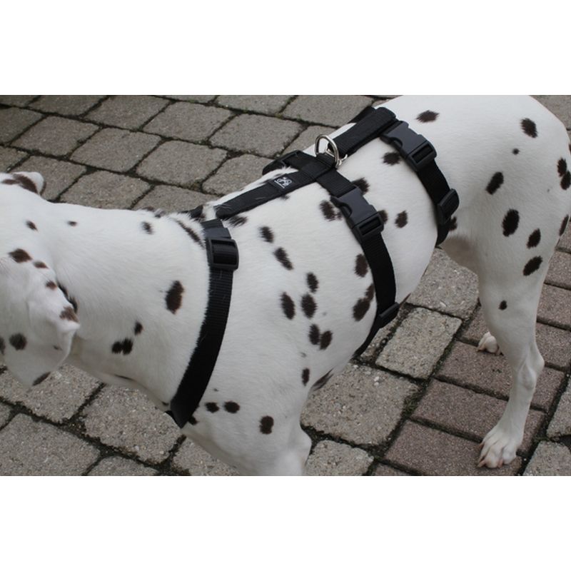 Feltmann Kreuzgeschirr NoExit, 40 - 60 cm, uni schwarz