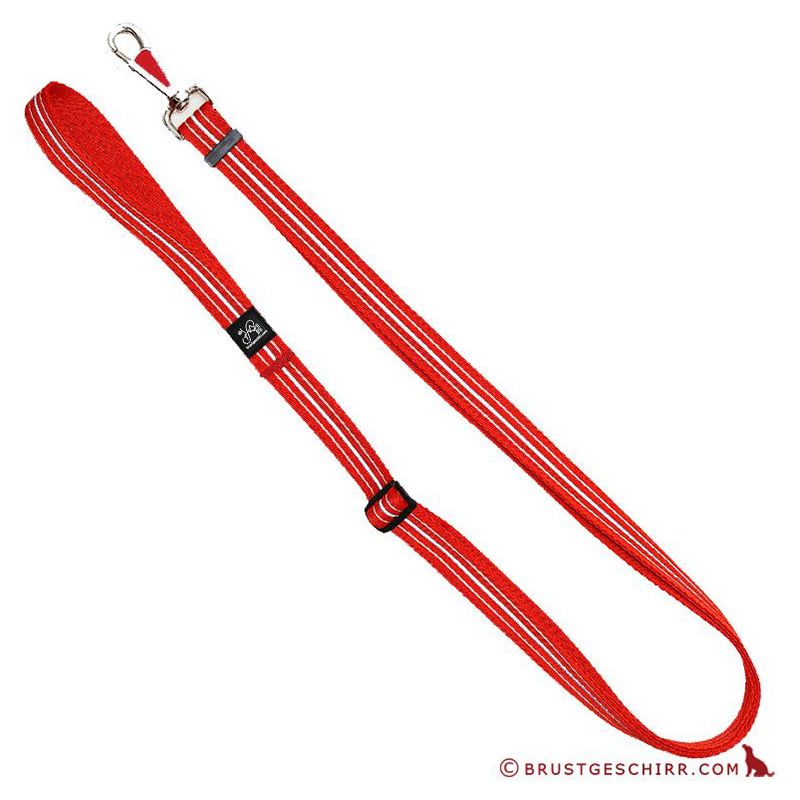 Kombileine 15mm/100-200cm REFLEXBAND rot