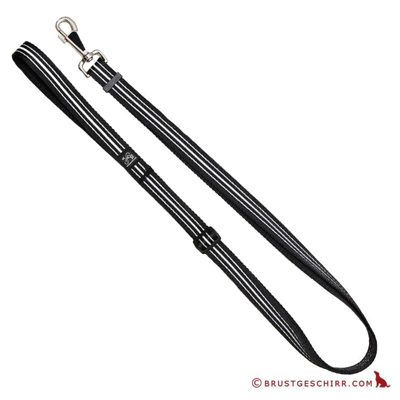 Kombileine 25mm/100-200cm REFLEXBAND schwarz