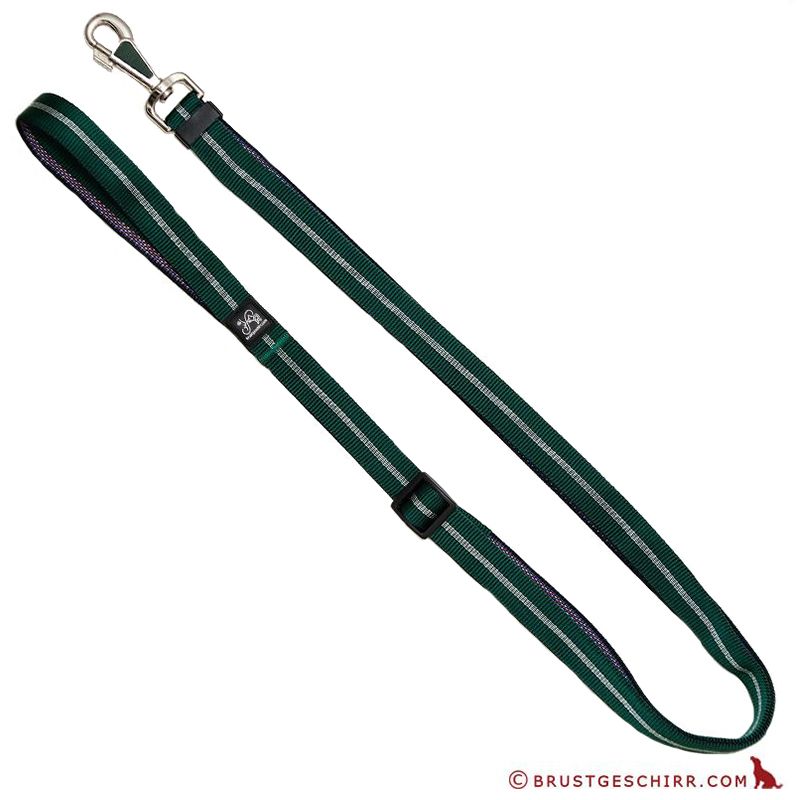 Kombileine Softband 15mm/100-200cm GRÜN Streifen